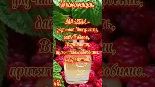 АЧЕЛИЯ. Женский органический масляный парфюм от ЭРСАГ.