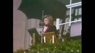 Princess Diana | Christmas lights | TN-81-023-023