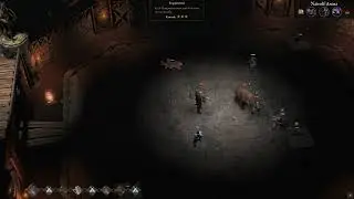Wartales Counter Bro lvl5 shining in arena GAME FEATURE*