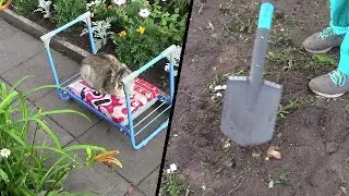Скамейка   Перевертыш,  Копаем Легко. Маруся. Для работы и души.