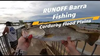 RUNOFF Barramundi fishing in the flooded Corduroy River