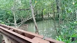wooden bridge connect brgy Pilar to brgy San Juan binalbagan