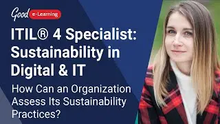 How Can an Organization Assess Its Sustainability Practices? ITIL 4 Sustainability in Digital and IT