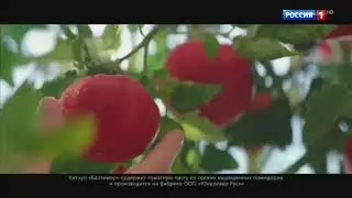 Реклама Балтимор