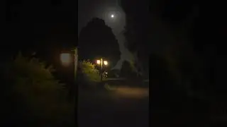 Calming Moonlight walk.