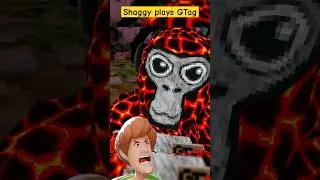 Shaggy becomes monke in Gorilla Tag VR #shorts #gorillatag #oculusquest #vr #funny
