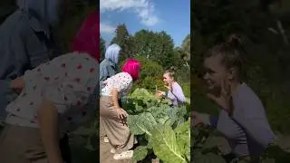 Капустница!