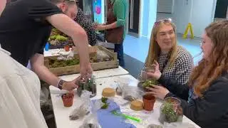 Y9/C27 'What a wonderful world' expedition: Terrarium expert