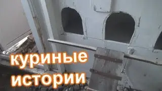 куриные истории - курятник готов! побелка курятника негашеной известью