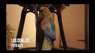 Foto Alfa - Los Conejos (Video Oficial)