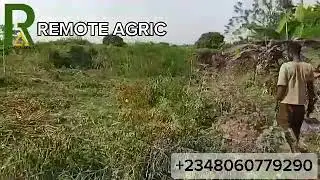REMOTE AGRIC: Own A Yam Farm Part 1. Join us now!