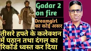 gadar 2 box office collection day 19 vs dreamgirl 2 box office collection day 6