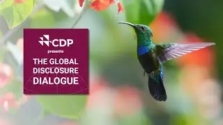 The Global Disclosure Dialogue