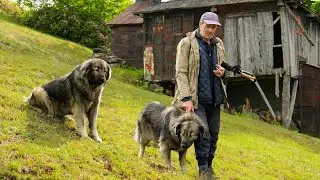 Dağların Şenlik Zamanı | Belgesel Film