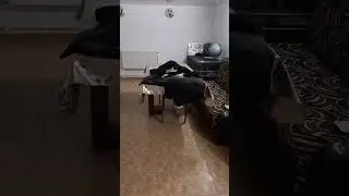 вечерние полежалки царя