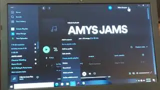 Spotify will not work on PC when not connected to internet.