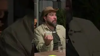 Охотятся обычно львицы, не лев 