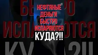 КУДА ИСПАРЯЮТСЯ НЕФТЕДОЛЛАРЫ?!!