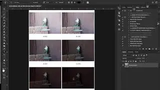 Creating Contact Sheets in Adobe Bridge CC 2017