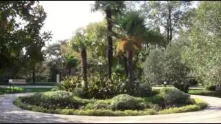 Сочинские приключения 2011 