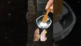 2 Dakikada Cilt Beyazlatma 🥥 Skin Whitening in 2 Minutes #shorts #ciltbakımı #skincare