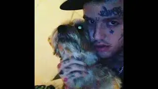 lil peep about u перевод