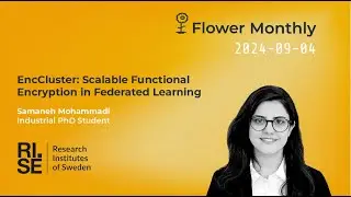 EncCluster: Scalable Functional Encryption in Federated Learning (Flower Monthly 2024-09)