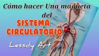 como hacer una maqueta del sistema circulatorio