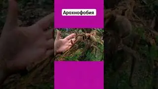 А у тебя есть 