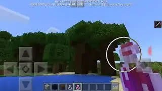 Minecraft nella vita reale flax
