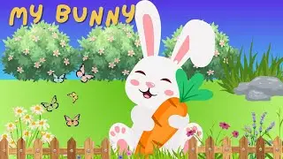 Bunny | Rabbit | Rabbit essay in english