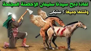 لماذا ذبح النبي سليمان الاحصنة المجنحة