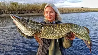 СПРАВЖНЯ ВІДЬМА! ПРОВЕЛА РИТУАЛ - ПРИНЕСЛА ЖЕРТВУ! Ловля щуки на джиг! Рибалка на спінінг 2023