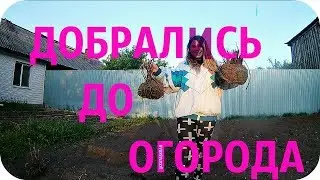 ЗАПОЗДАЛЫЕ ОГОРОДНИКИ! ЛАДА - СЕНОВОЗ! ЖИЗНЬ В ДЕРЕВНЕ!