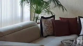 Un pajarito se mete a la casa y lo ayudo a salir y al final agradece :)