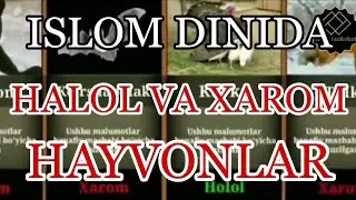 ИСЛОМДА ХАЛОЛ ВА ХАРОМ КИЛИНГАН ХАЙВОНЛАР / ISLOMDA HALOL VA XAROM QILINGAN HAYVONLAR.
