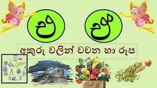 එ,ඒ අකුරු වලින් වචන හා රූප සහිතව-#රටා මවමු#sinhala alphabet-සිංහල හෝඩිය #educationalvideo #kidsvideo