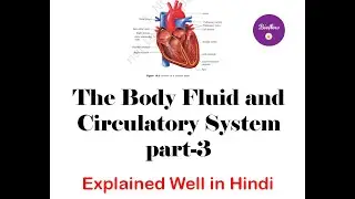 The Body Fluid and Circulatory System(संचार प्रणाली)PRT-3 / NEET/ CLASS10,11 & 12 BLOOD CIRCULATION