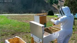 Super horizontal hive