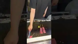 $40 Japanese A5 Wagyu Beef Skewer 🇯🇵