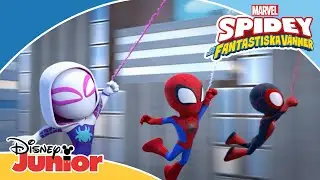 🎵 Introlåten 🕷️ | Spidey och hans fantastiska vänner  | Disney Junior Sverige