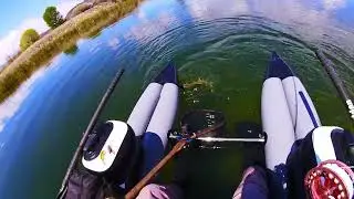 Dave Scadden's Stiletto Backswimmer Bonanza!!!