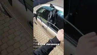 The car was locked and the keys were in the car.