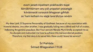 evaṁ janaṁ nipatitaṁ prabhavāhi-kūpe | Śrīmad-Bhāgavatam 7.9.28 | Sri Prem Prayojan Prabhu