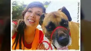 Vou lhe ensinar a ser um Dog Walker - Passeador de Cães