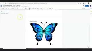 How to insert pictures in a Google Docs Part I: Basics