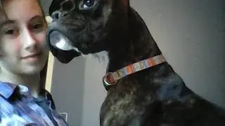 Pet Tag!! Ft. Skittles