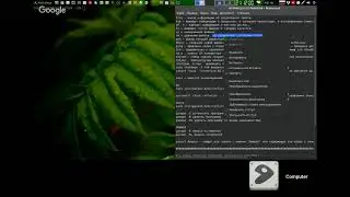 Linux   Терминал в Ubuntu, Linux Mint, Arch Linux, shell, bash, базовые команды vKt7fbiO75w