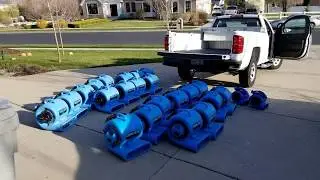 Carpet cleaning