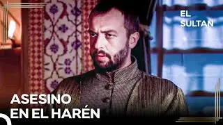 Ibrahim Persigue al Asesino | El Sultán Capitulo 14